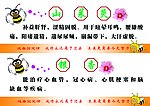 药品工效