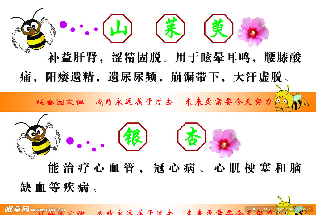 药品工效