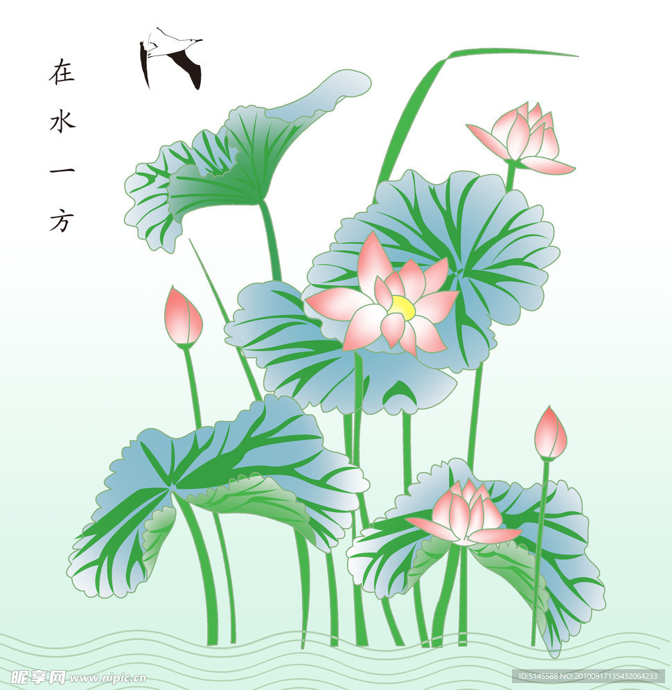 夏日荷花 在水一方