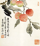 荔枝图