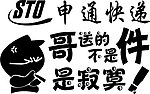 申通快递车尾贴
