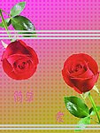 简单爱
