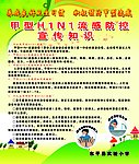 甲型H1N1