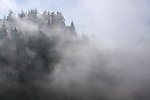 雾气缭绕的山峦