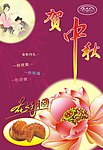 中秋 花好月圆 常蛾
