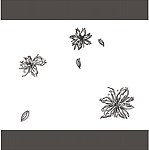 花飘零
