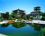 玫瑰园