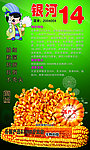 银河14