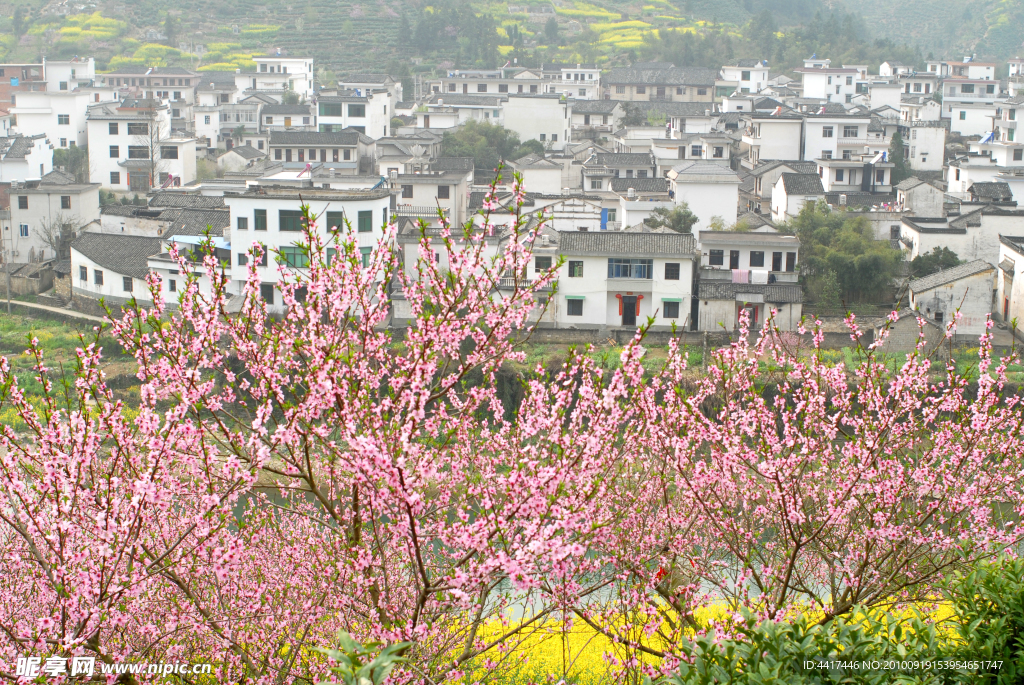 桃花村