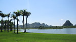 椰子树 小岛