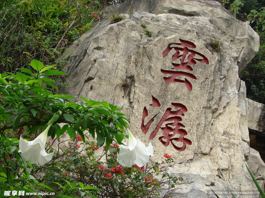 百合花 云潺 石头 悬崖