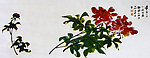 张大千 芍药
