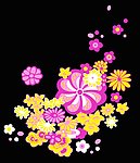 花朵篇
