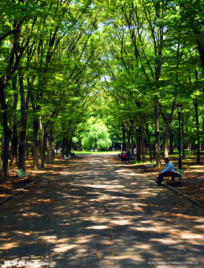 林间小路