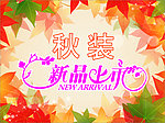 秋装新品上市