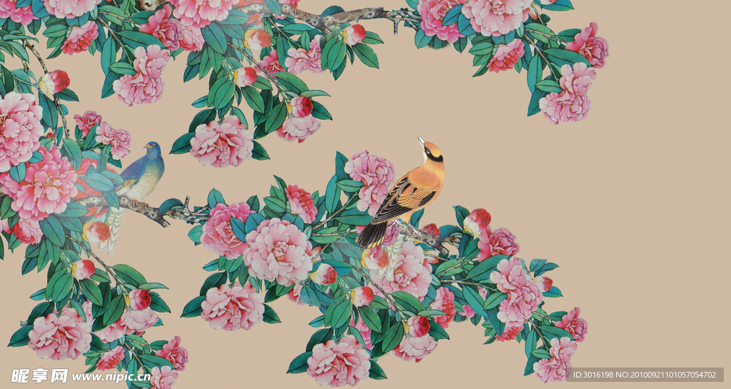 花鸟