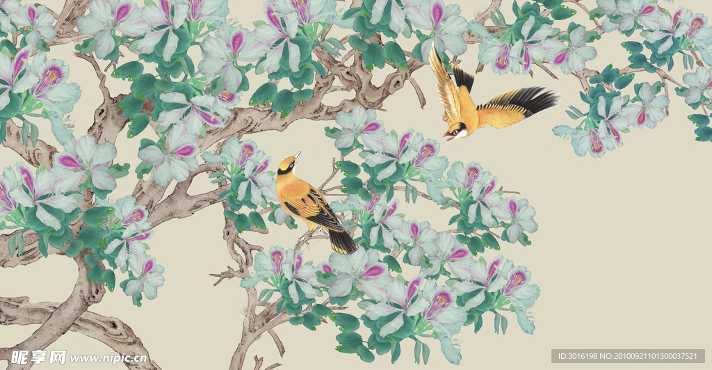 花鸟