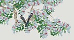 花鸟