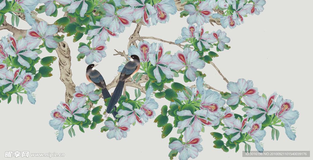 花鸟
