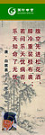 国珍松花粉