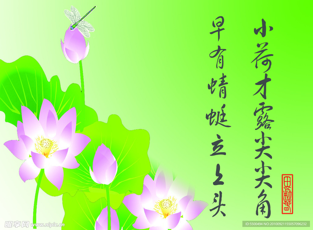 荷花