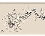 国画源文件