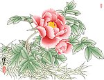 分层中国画牡丹