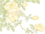 PS分层漂亮花朵