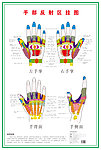 手部反射区挂图