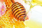 蜂蜜 甜蜜 液体 蜜糖 蜂巢