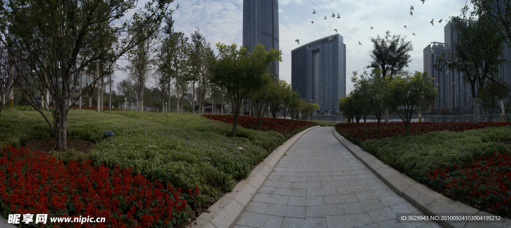 中心广场花园