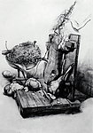 实验素描