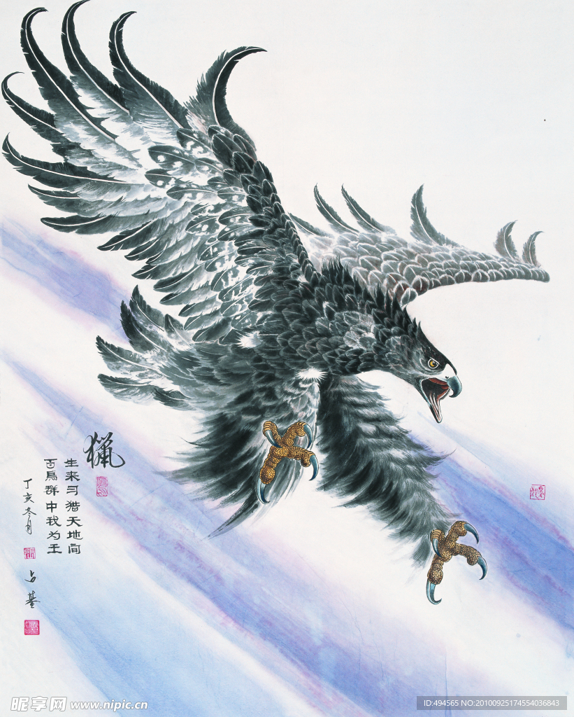 雄鹰展翅