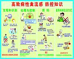 高致病性禽流感 防控知识