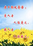 老干部处寄语