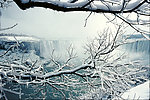 雪景