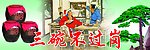 三碗不过岗