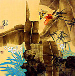 蕉林蝴蝶