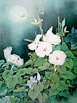 月光花