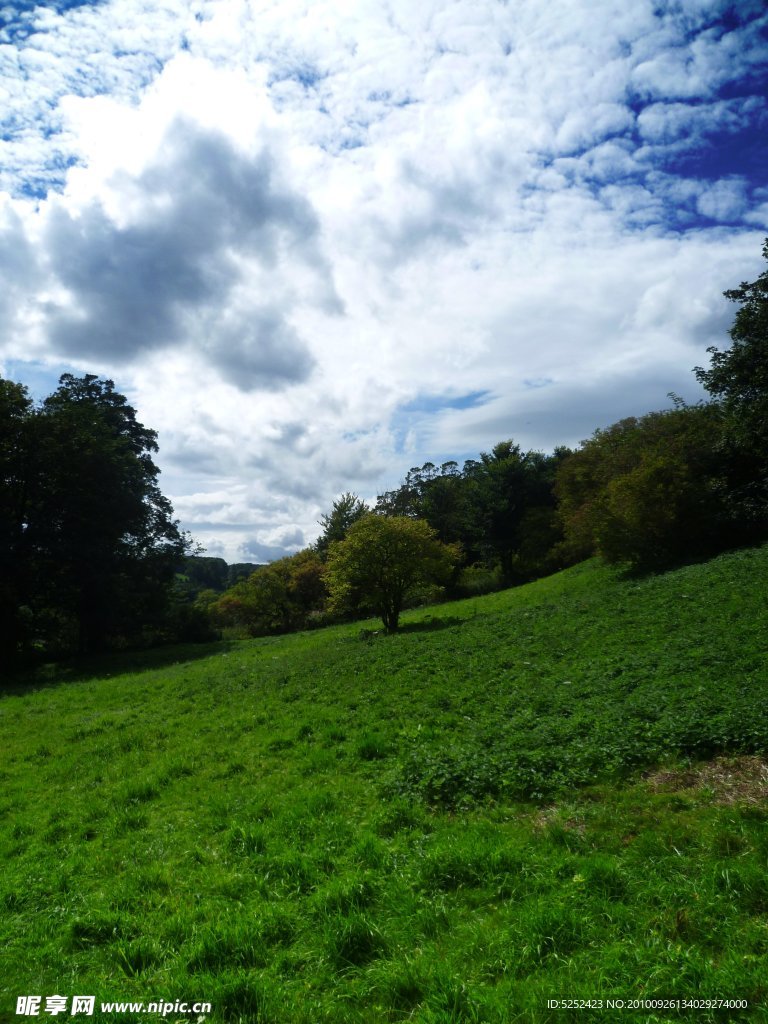 草地美景