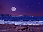 海岸夜景