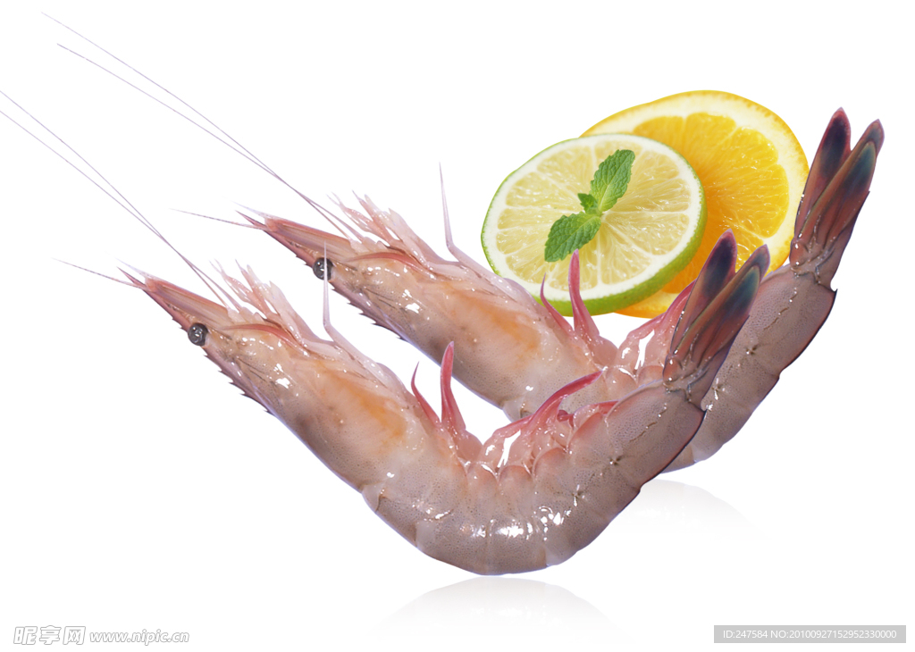 海虾
