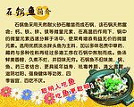 兴星石锅鱼