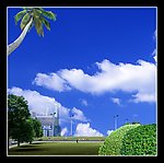 风景