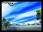 风景