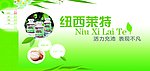 纽西莱特