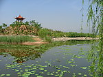 风景