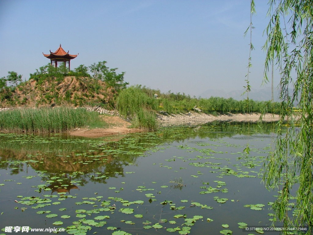风景