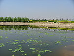 风景