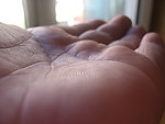 手掌特写